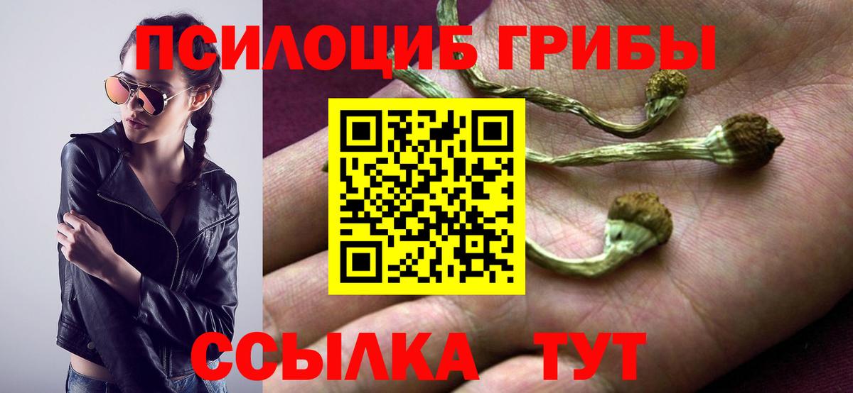 купить   Галлюциногенные грибы мухоморы  Вход с VPN  Салехард 